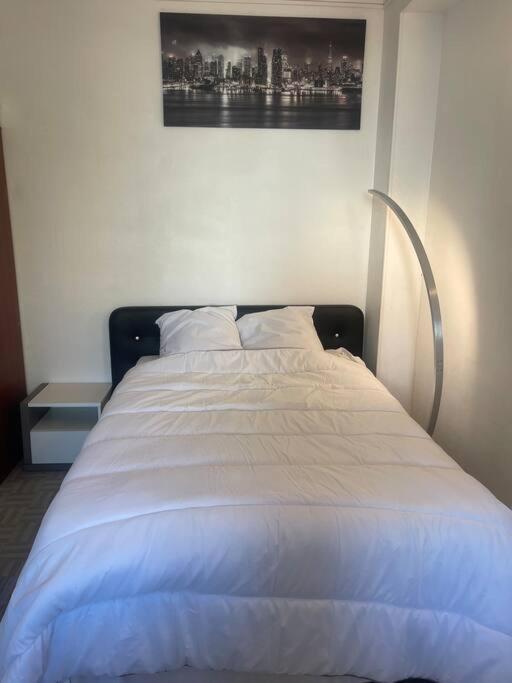 ליון Appartement Croix Rousse 69004 מראה חיצוני תמונה