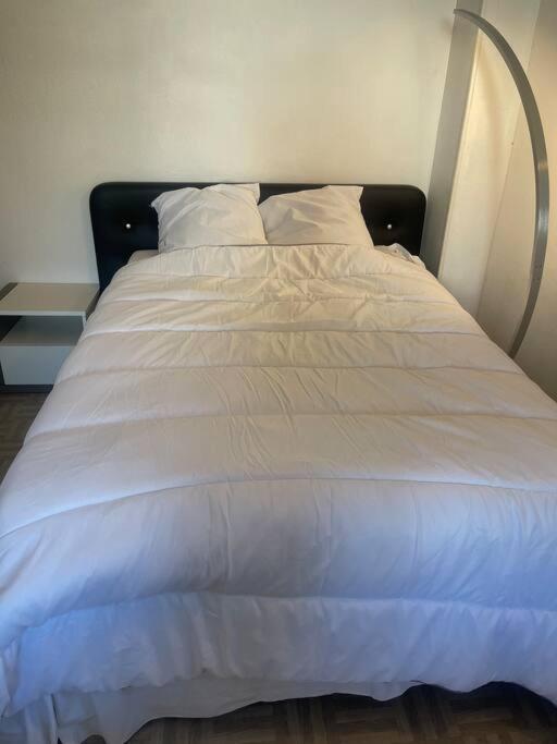 ליון Appartement Croix Rousse 69004 מראה חיצוני תמונה